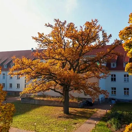 Apartment Parkresidenz Lychen, 8