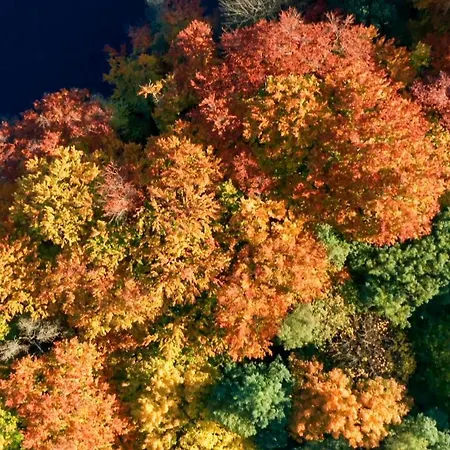 아파트 Parkresidenz Lychen, 8 *