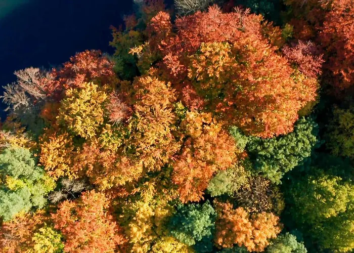 شقة Parkresidenz Lychen, 8 *